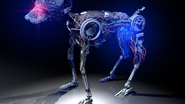 are-you-ready-for-a-robotic-pet-here-are-the-benefits-they-offer